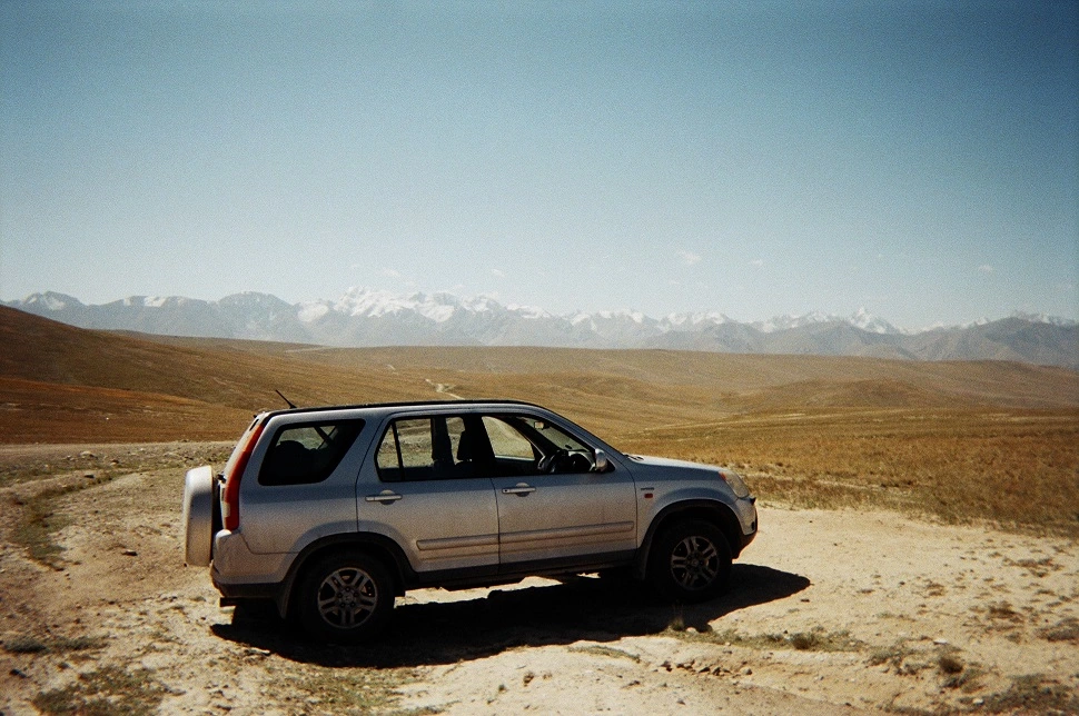 Talulah
